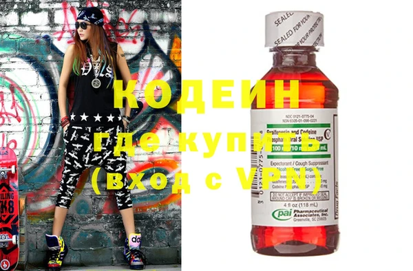 прущие грибы Алагир