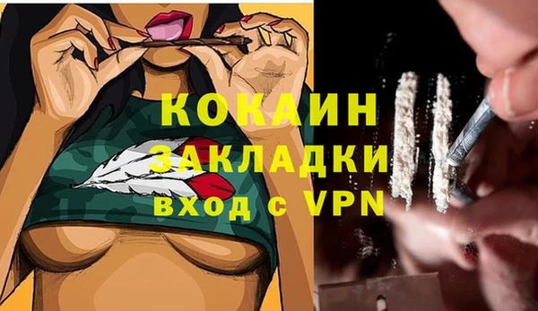 прущие грибы Алагир