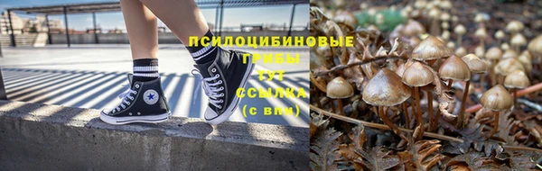 прущие грибы Алагир
