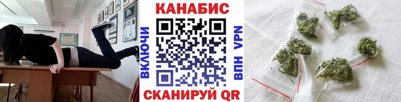 как найти   Багратионовск  Бошки марихуана Ganja 